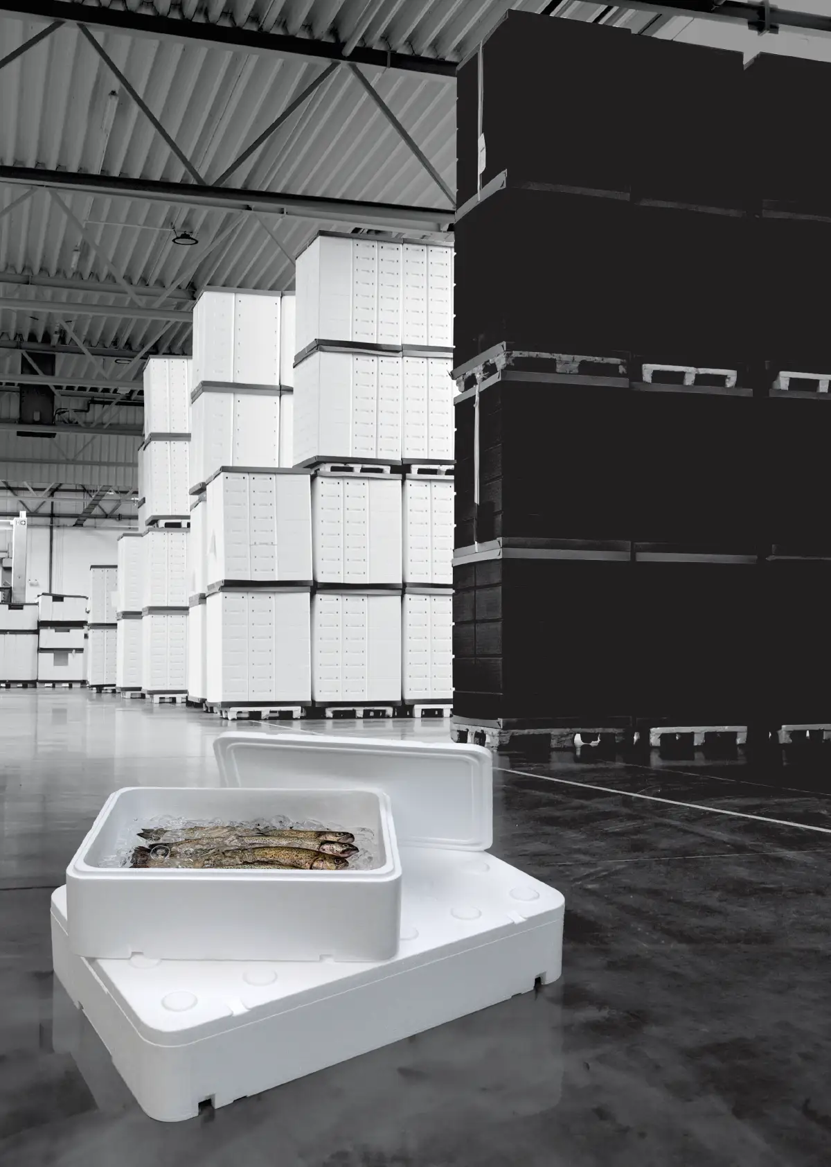 Schutzverpackungen aus Styropor und Polyethylen