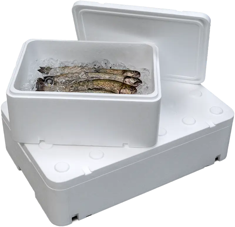 Transportboxen Kühlboxen für Fisch von Arpack Polska